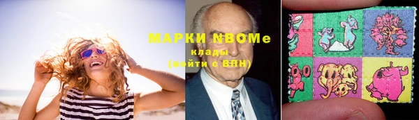 хмурый Абаза