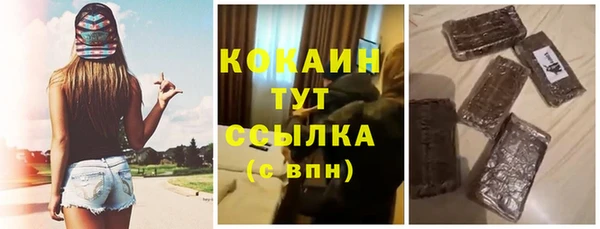 хмурый Абаза