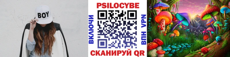 магазин продажи наркотиков  Кострома  Псилоцибиновые грибы GOLDEN TEACHER 